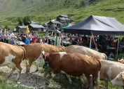 Einsegnung des Schutzdammes auf der Bachalpe